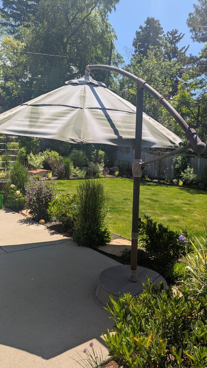Main image 6