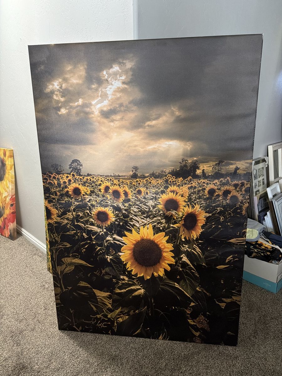 Large Sunflower Field Canvas Wall Art - Dramatic Sky, Farmhouse Decor, 30x40 inches