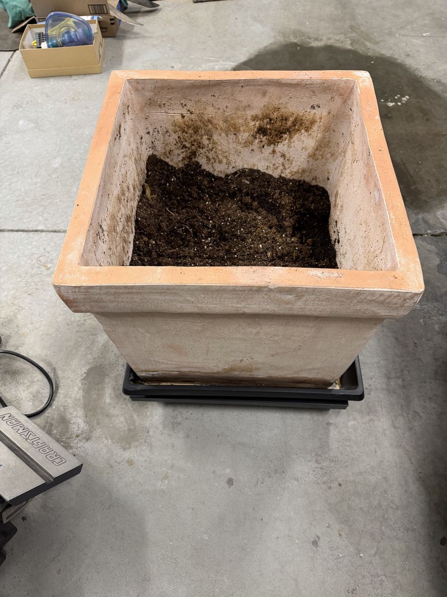Main image 5