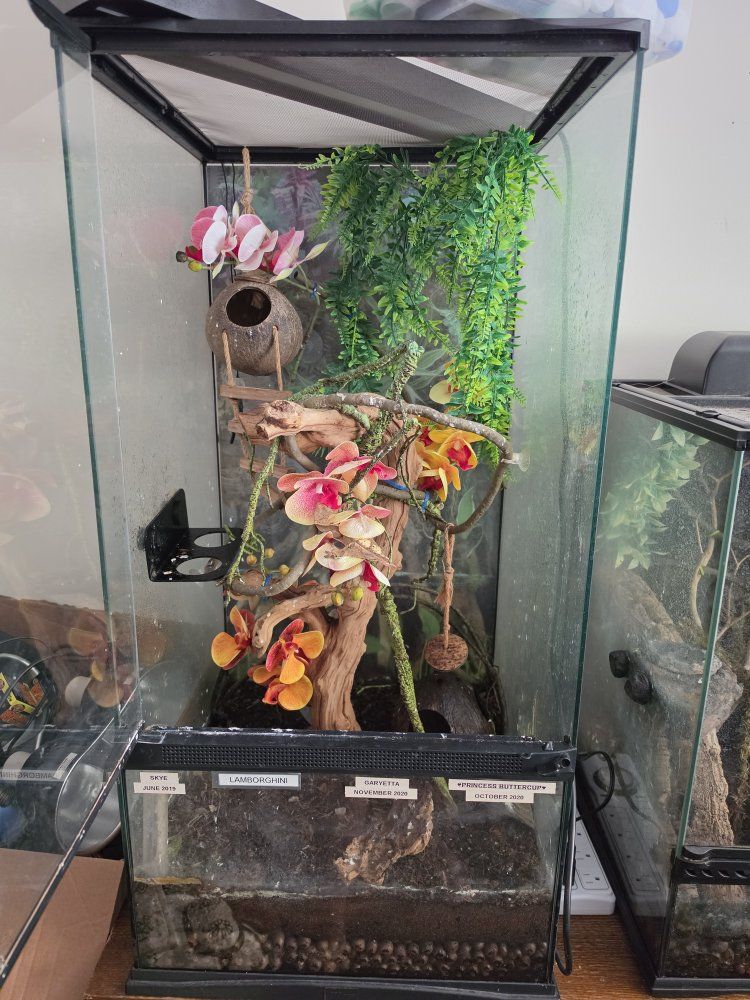 Main image 7