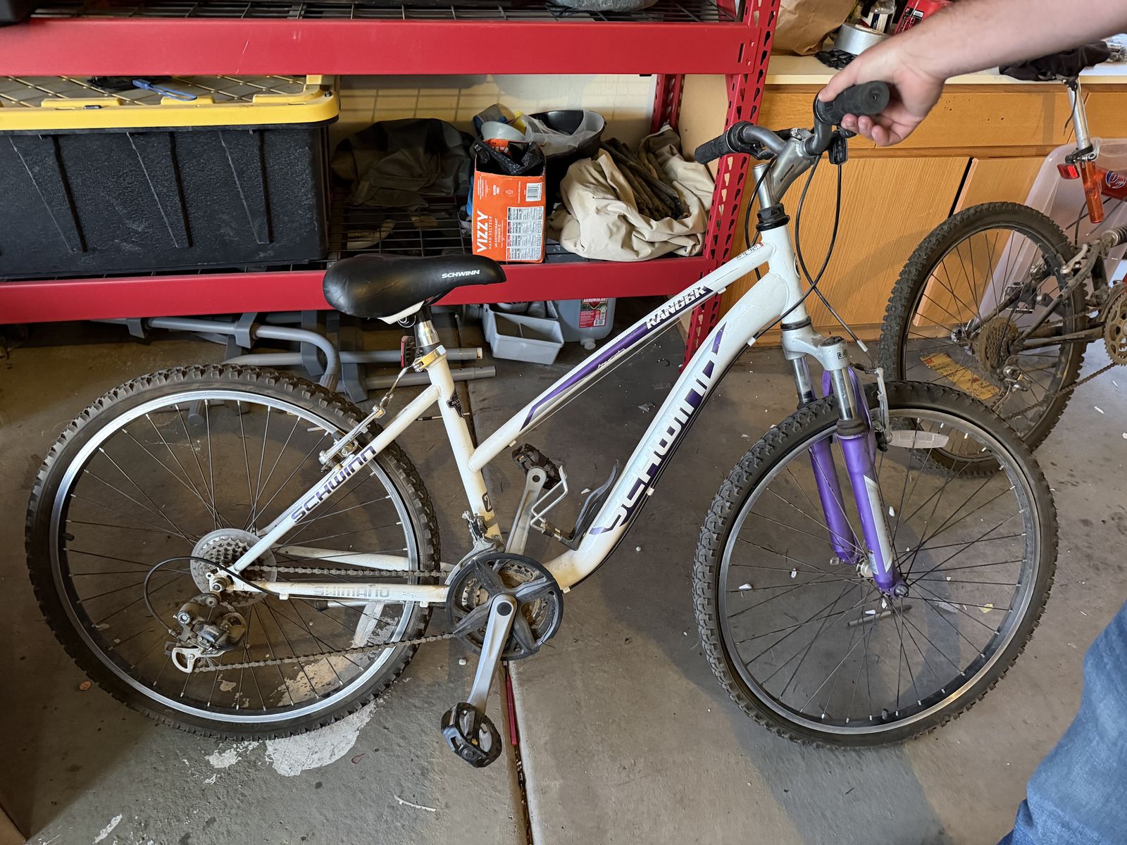 Women’s Adult bike