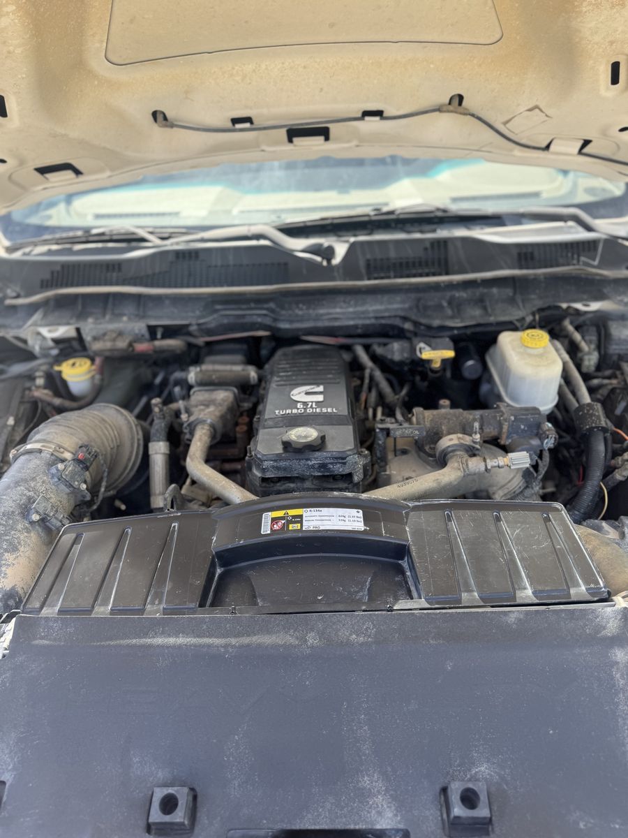 Main image 13