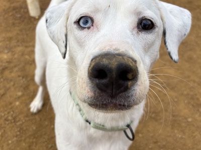 Hello my name is McGee