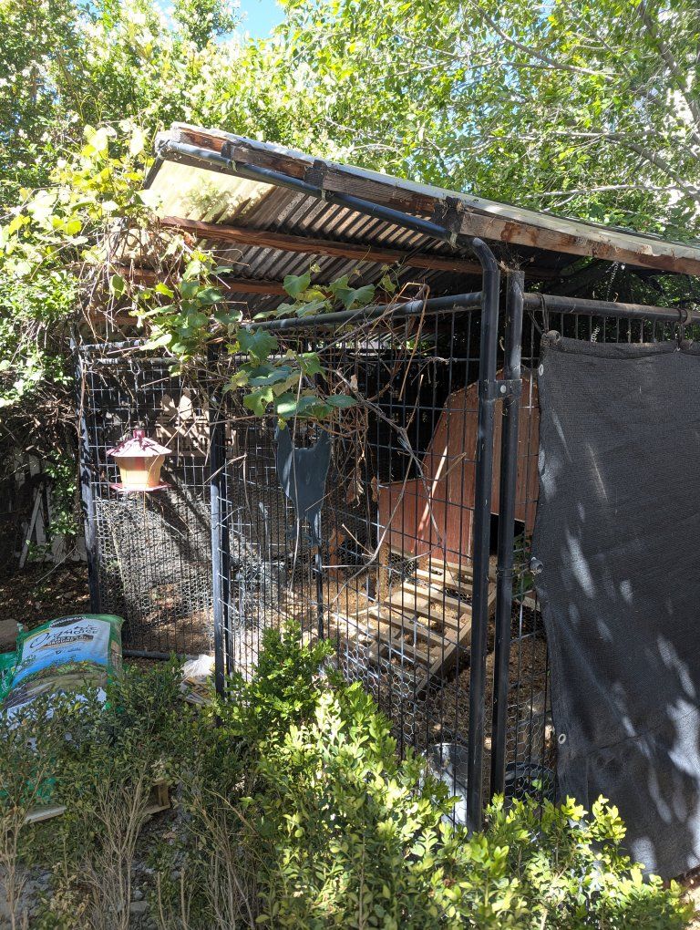 Chicken Coop