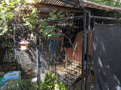 Chicken Coop
