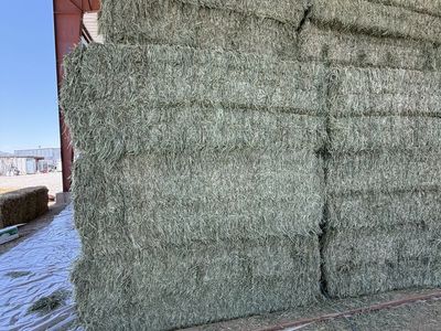 Timothy Grass Hay