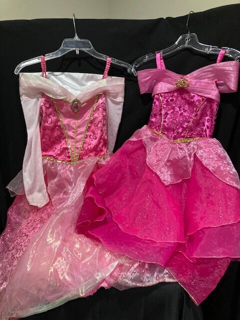 DISNEY STORE Deluxe PRINCESS AURORA Set   Starting at $20