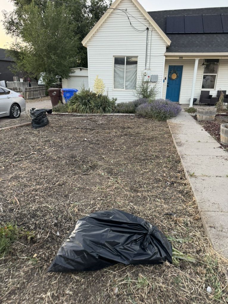 Weeds Removal Yard Clean Up Mowing Great Prices