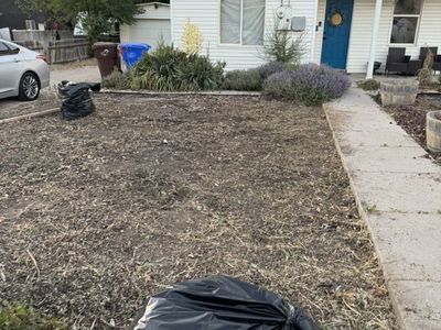 Weeds Removal Yard Clean Up Mowing Great Prices