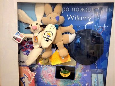 Salt Lake 2002 Winter Olympics Shadow Box: Mascots, Pin & Memorabilia - Framed Collection