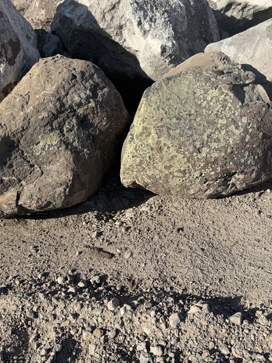 Main image 18