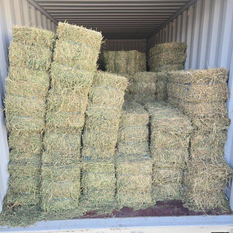 Alfalfa 2 string bales $12.00 Springville, UT