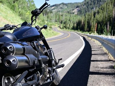 2023 Harley Davidson Sportster S