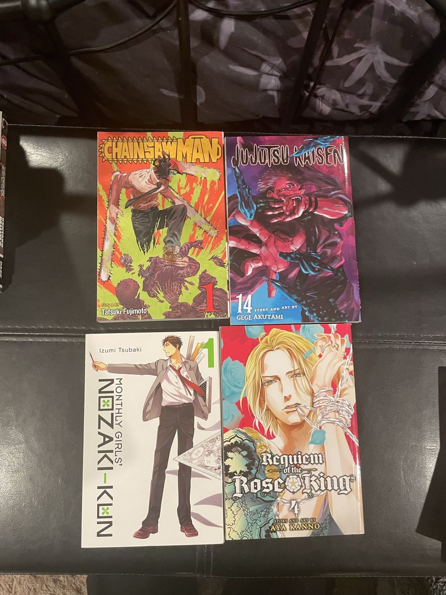 Lot of 24 assorted manga