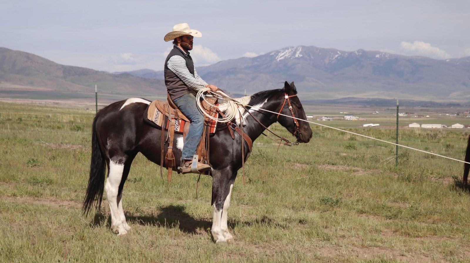 True Black Paint Ranch/ Rodeo Mare