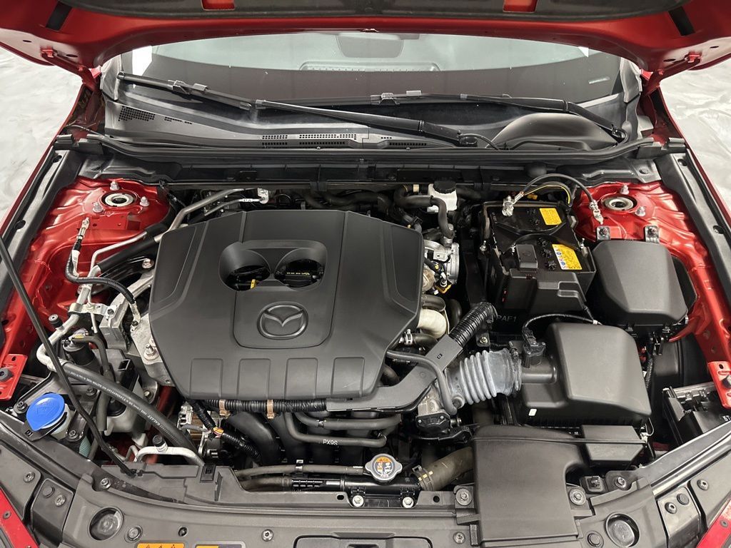 Main image 3