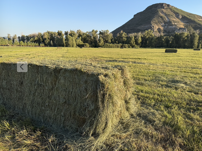 Grass hay 3x3x8 bales for sale