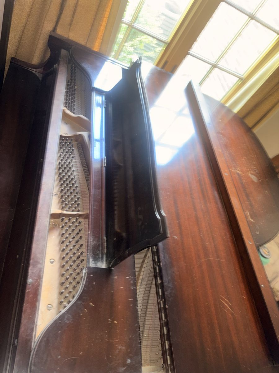 Main image 4