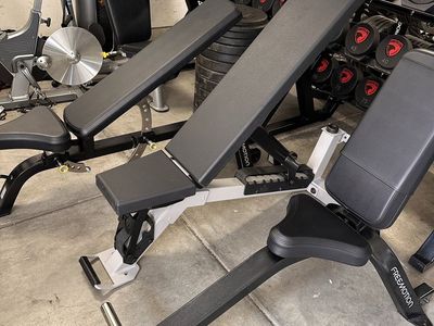 Freemotion Epic Fully Adjustable Bench & Seated Bench