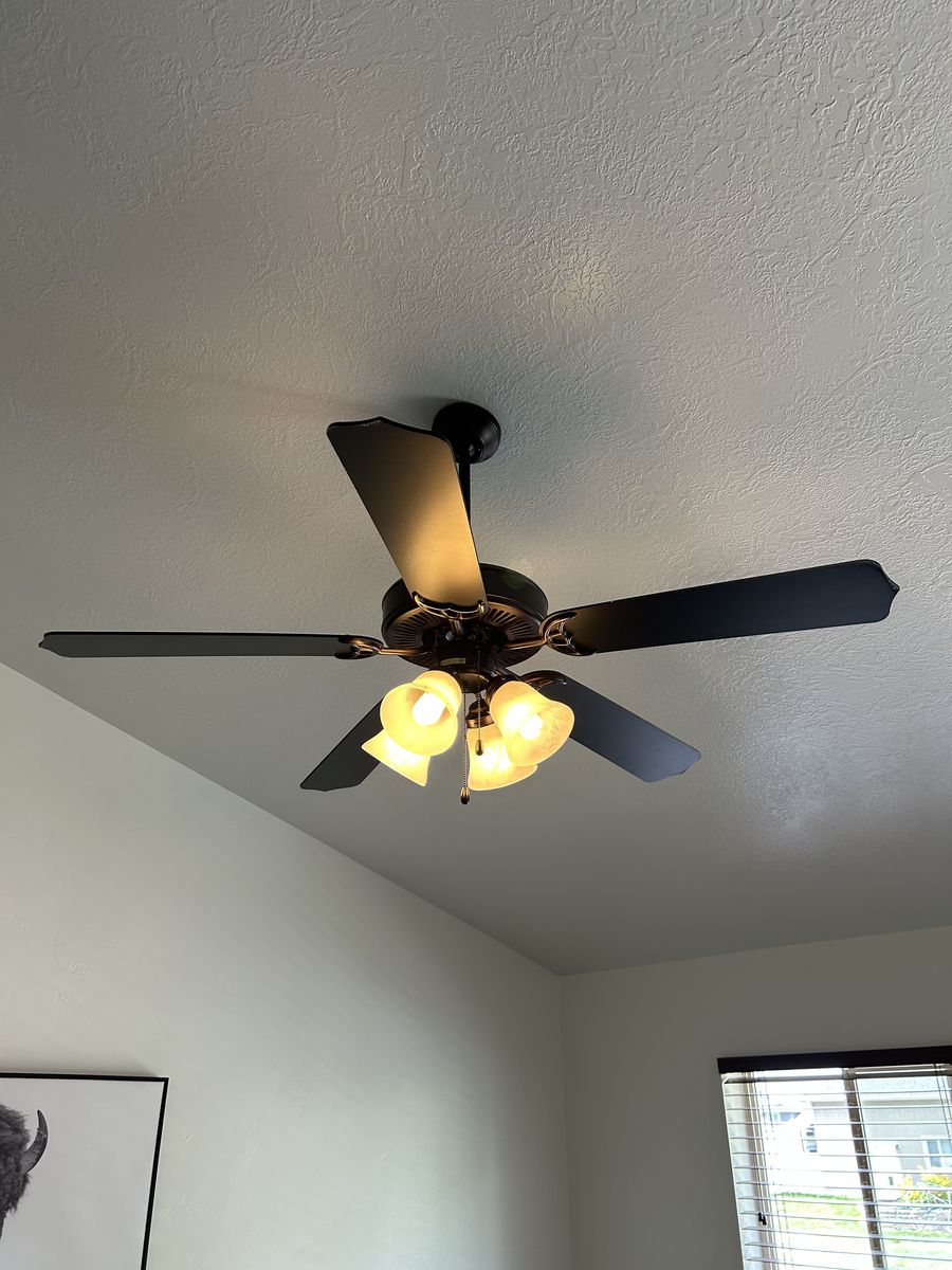 Ceiling fans and lights