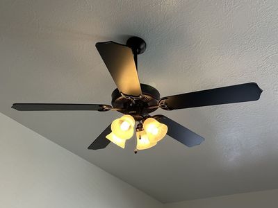 Ceiling fans and lights
