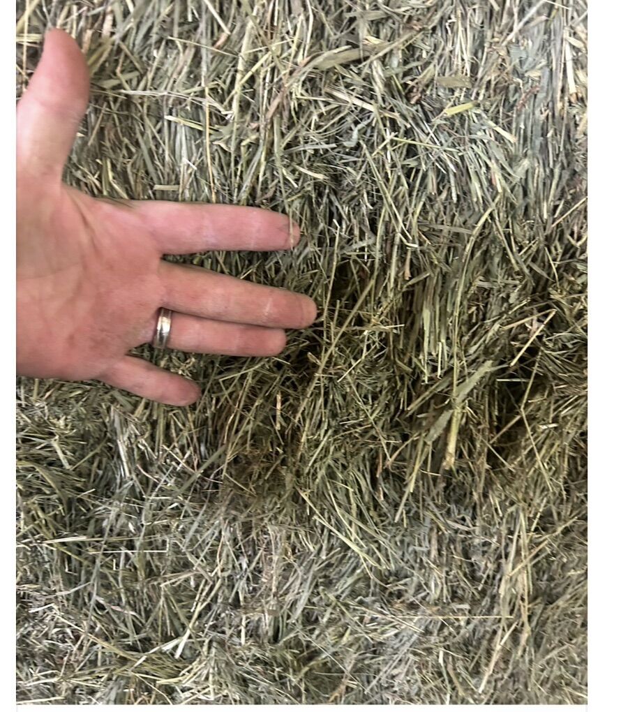 Nice Clean Grass Hay Bales 3x3x8