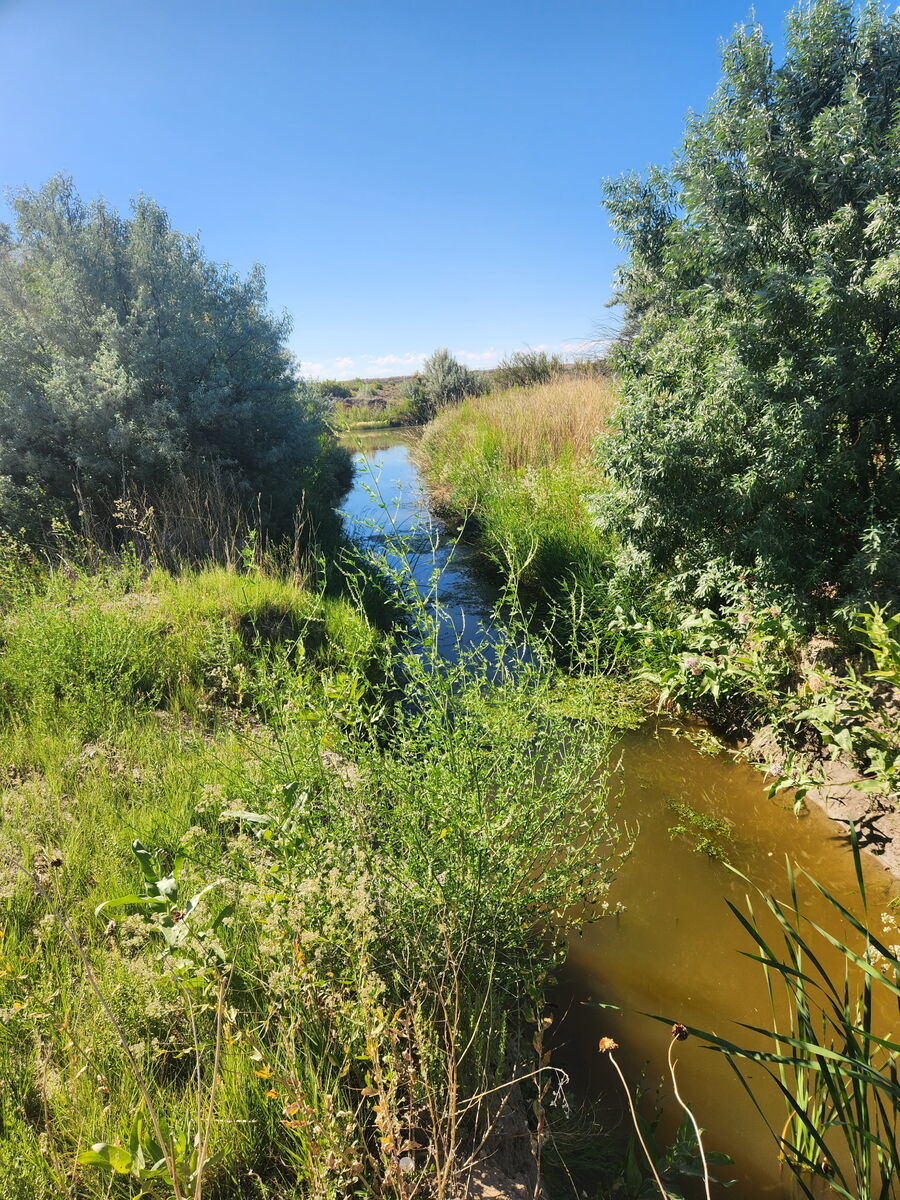 FOR SALE 558 Acre Pleasant Valley Ranch, Water, Wildlife galore, River runs through