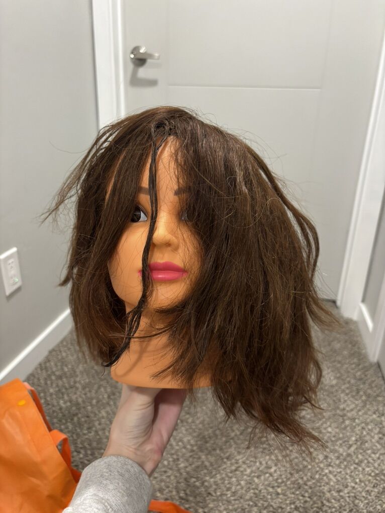 Cosmetology Mannequin Heads