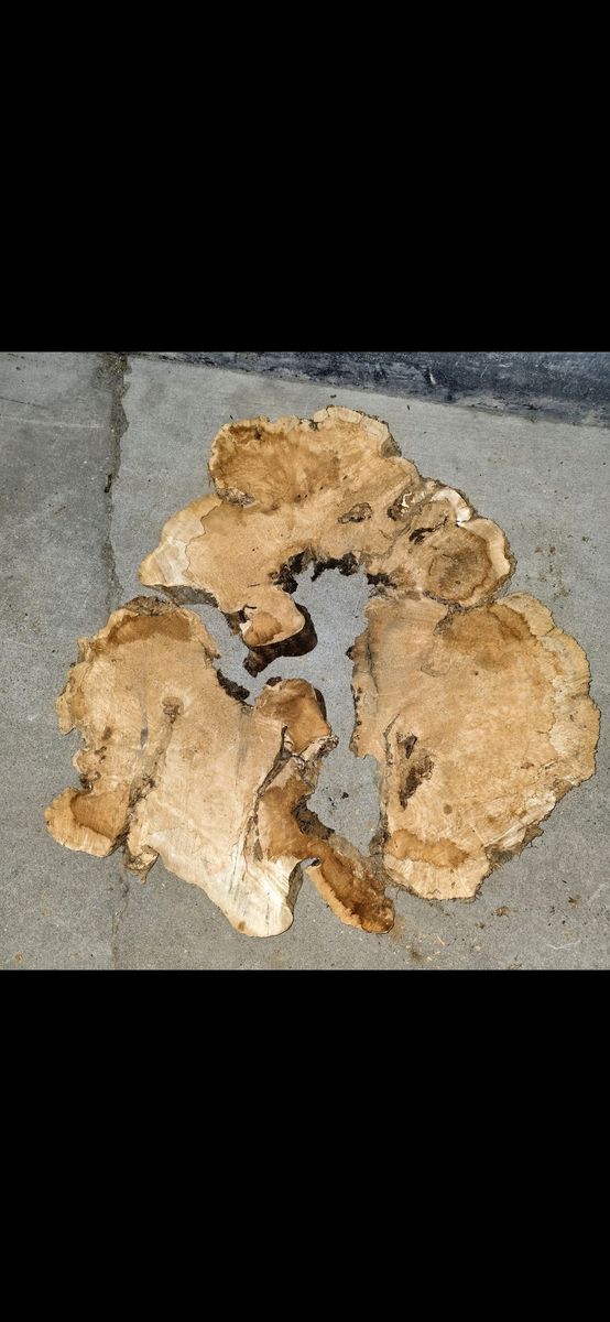 Set of  BoxElder wood slabs