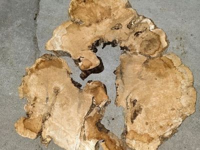 Set of BoxElder wood slabs