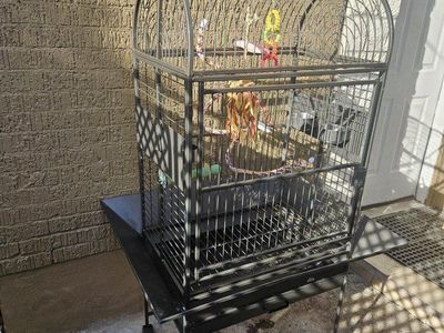 Large Bird Cage
