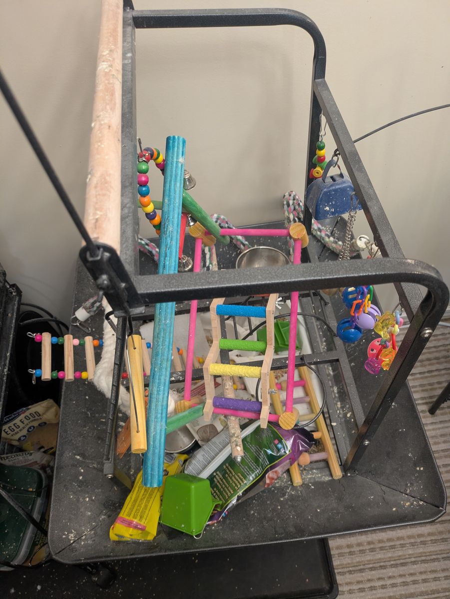3 birds cage and play pen