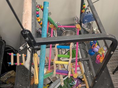 3 birds cage and play pen
