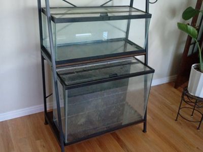 Metal & Wood aquarium Rack w/ Integrated Power Outlets - 2- 20 gallon aquariums with glass tops
