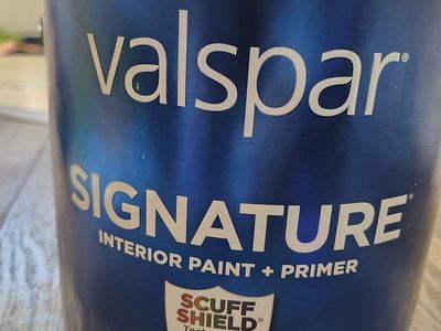 Pink Paint - 1 Gallon, Semi-Gloss