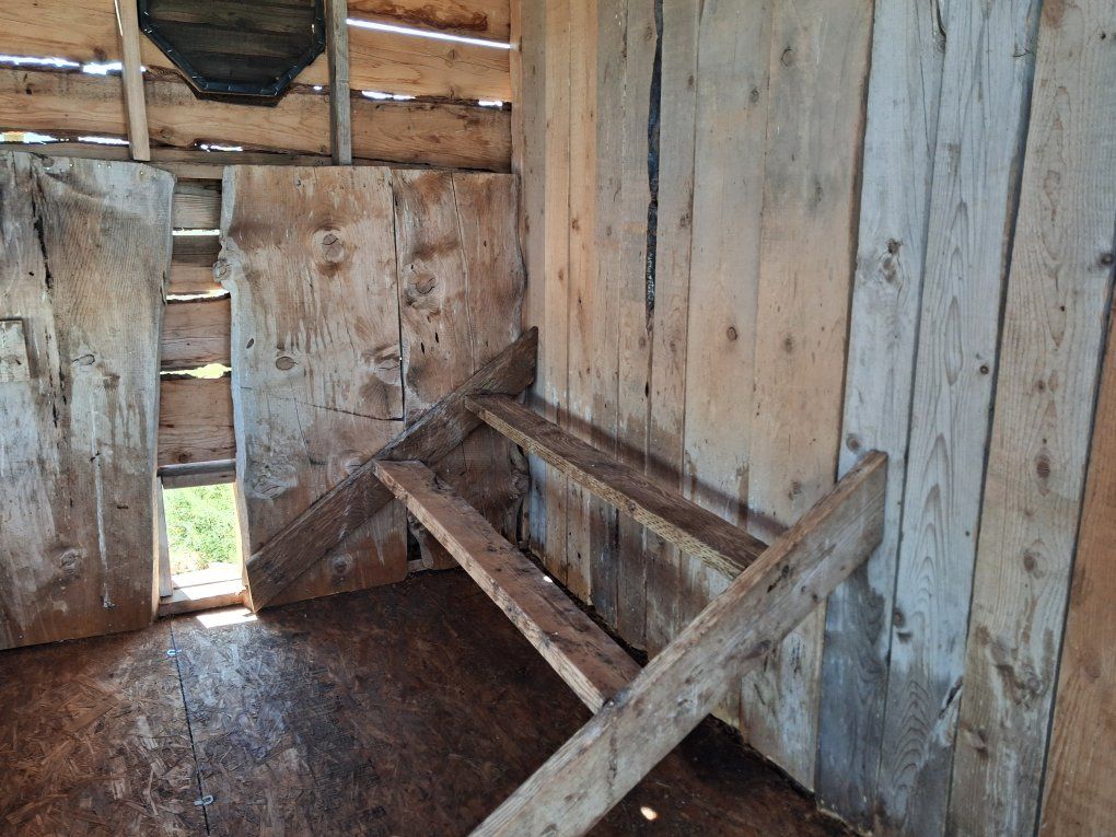 Main image 6