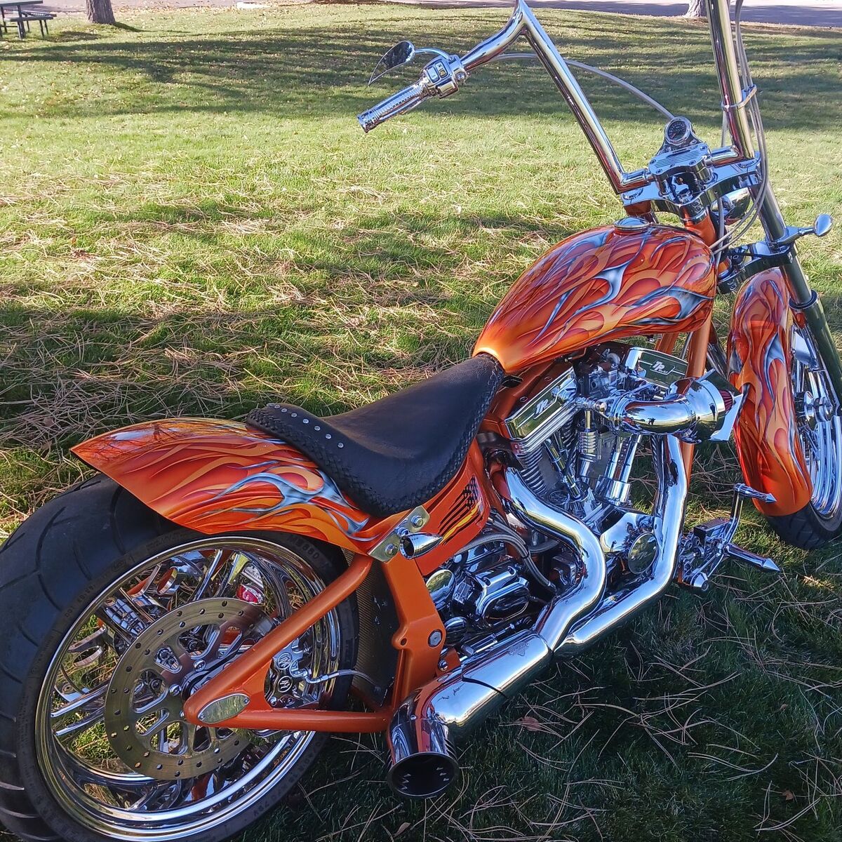 Custom Softail/Trade Ducati Diavel