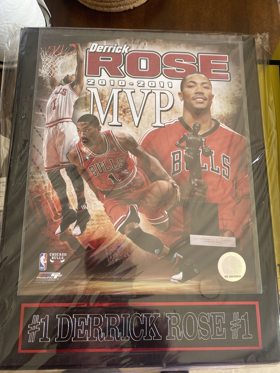 Derrick Rose Plaque