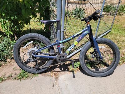 REI CO-OPRev 20 inch 6-Speed Kids' Mountain Bike - Blue