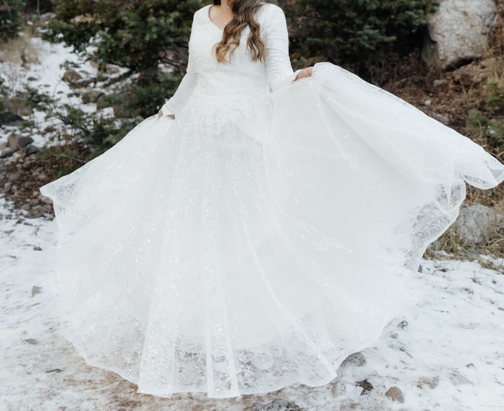 Ballgown Wedding Dress (size 8)