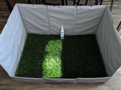 Dog Relief Station Indoor/Outdoor