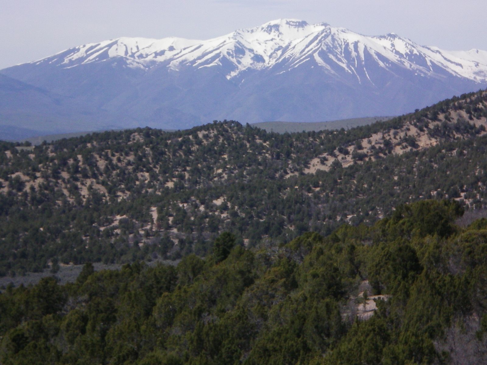 Main image 3