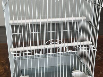 Bird Cage 9"x12"