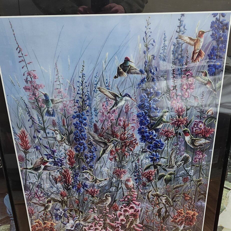 hummingbirds of North America poster and frame