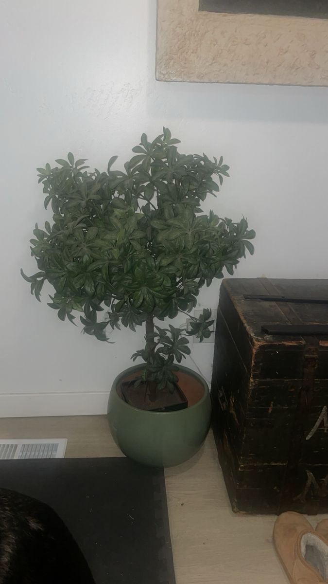 Main image 4
