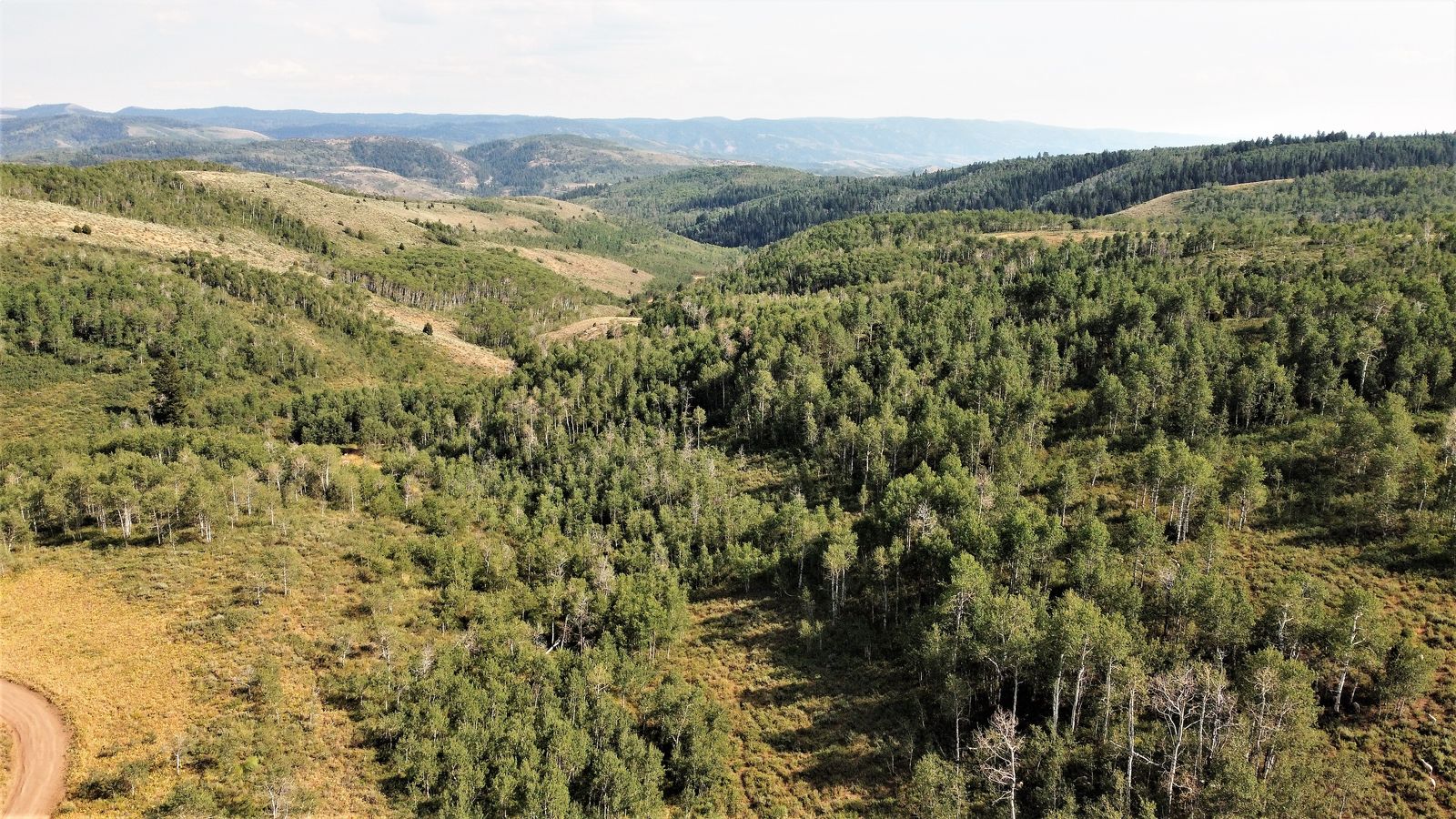 Last parcel for sale - Cache National Forest