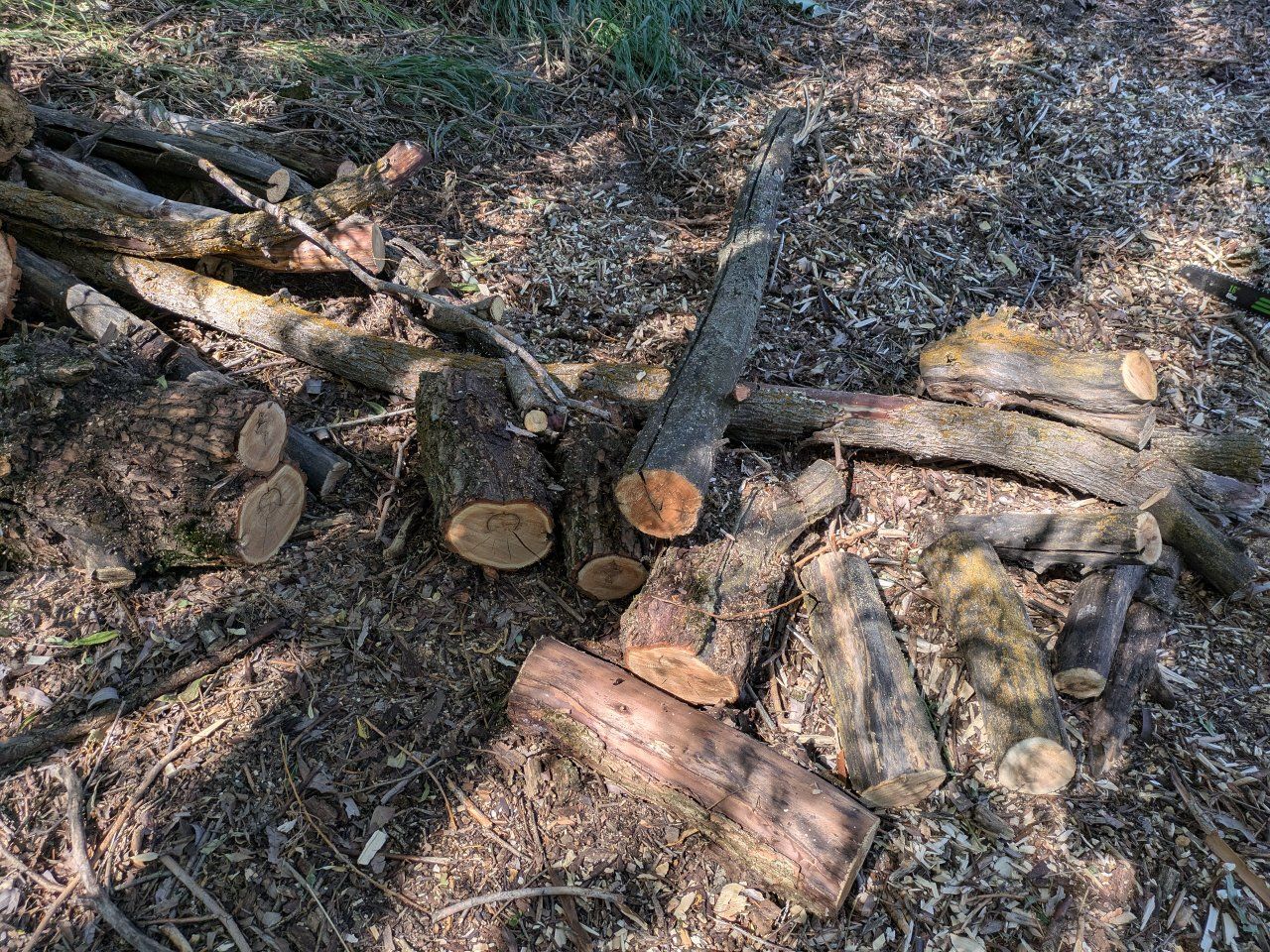 Main image 3