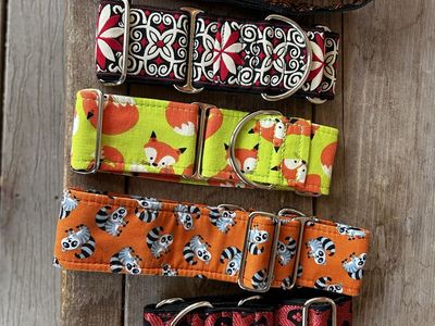 dog collar s and harnesses