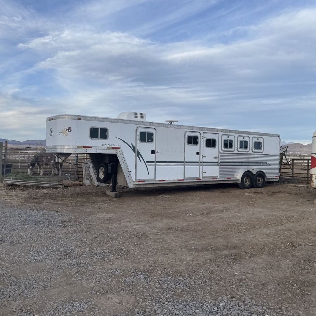 1999 EXISS 4 horse LQ