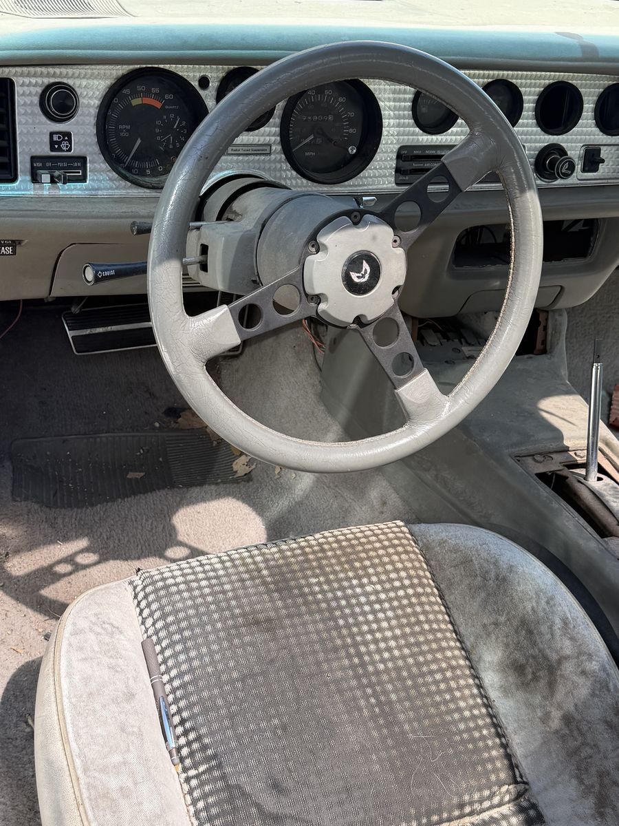 Main image 8